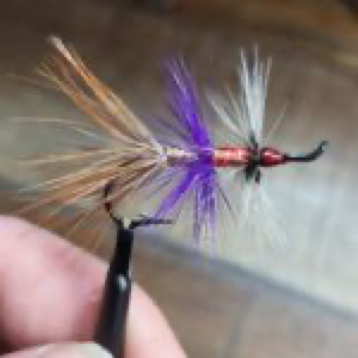 Purple And Gold Irish Shrimp fly pattern tied by Will Arrant