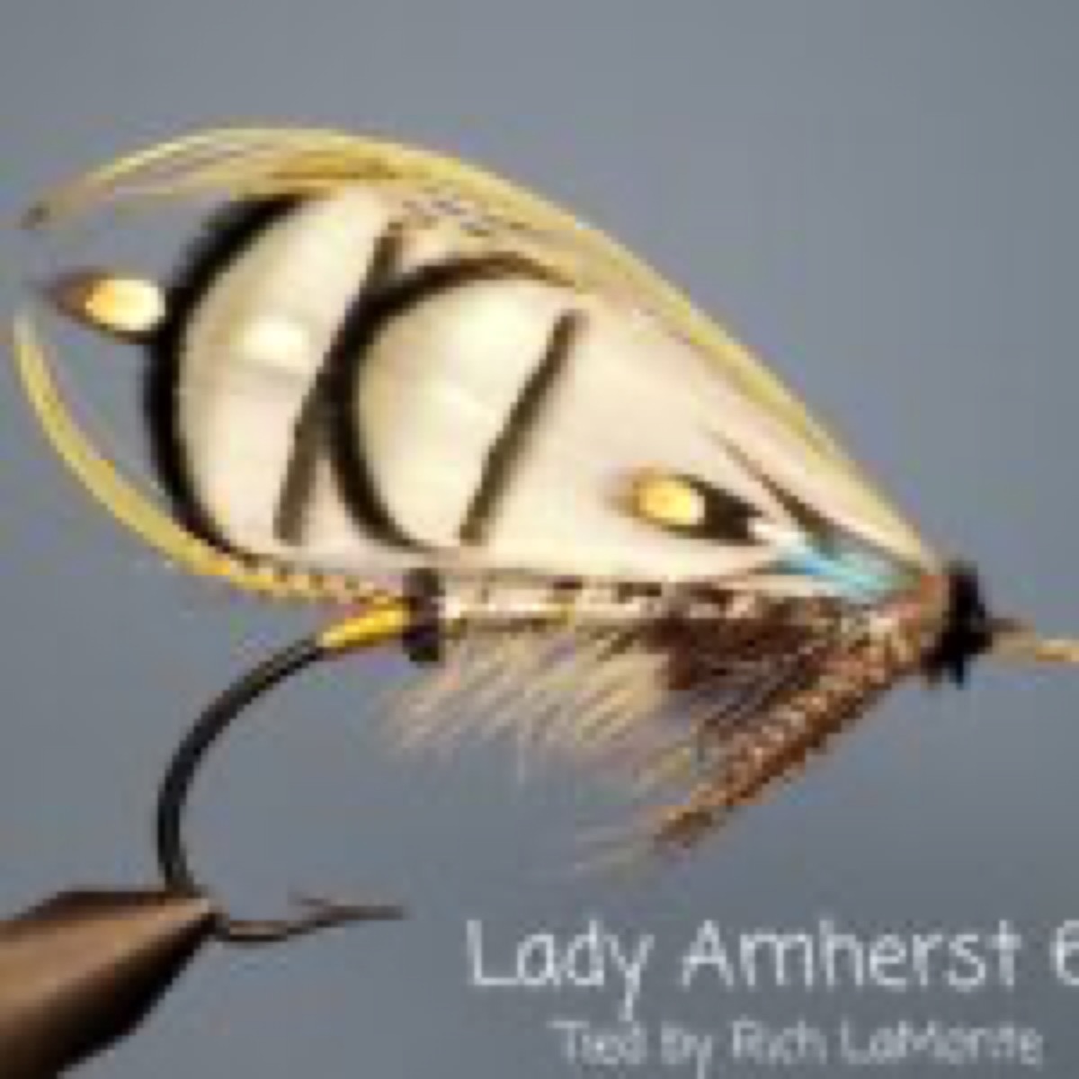Lady Amherst fly pattern tied by Rich LaMonte