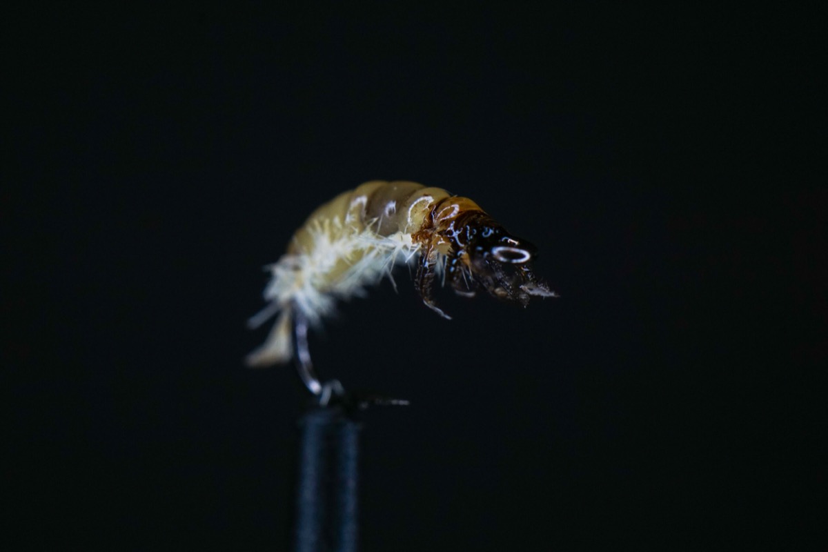 Realistic Caddis Larva fly pattern tied by Brian Smith
