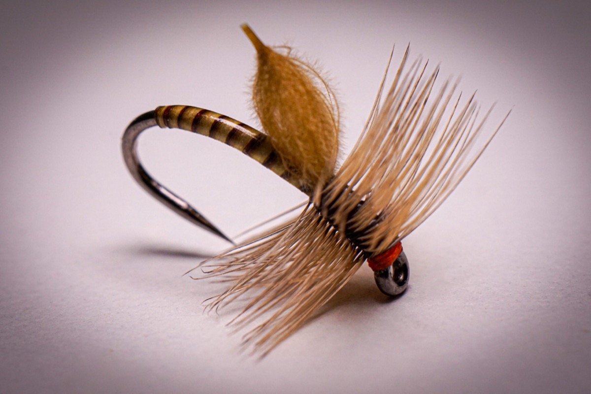 Quilled Emerger fly pattern tied by Brian Smith