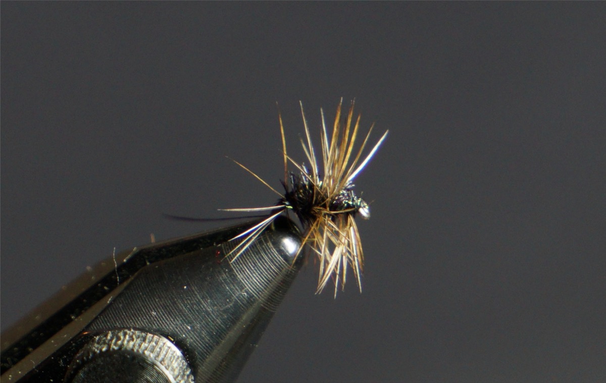 Griffith's Gnat fly pattern tied by Christian Andrews