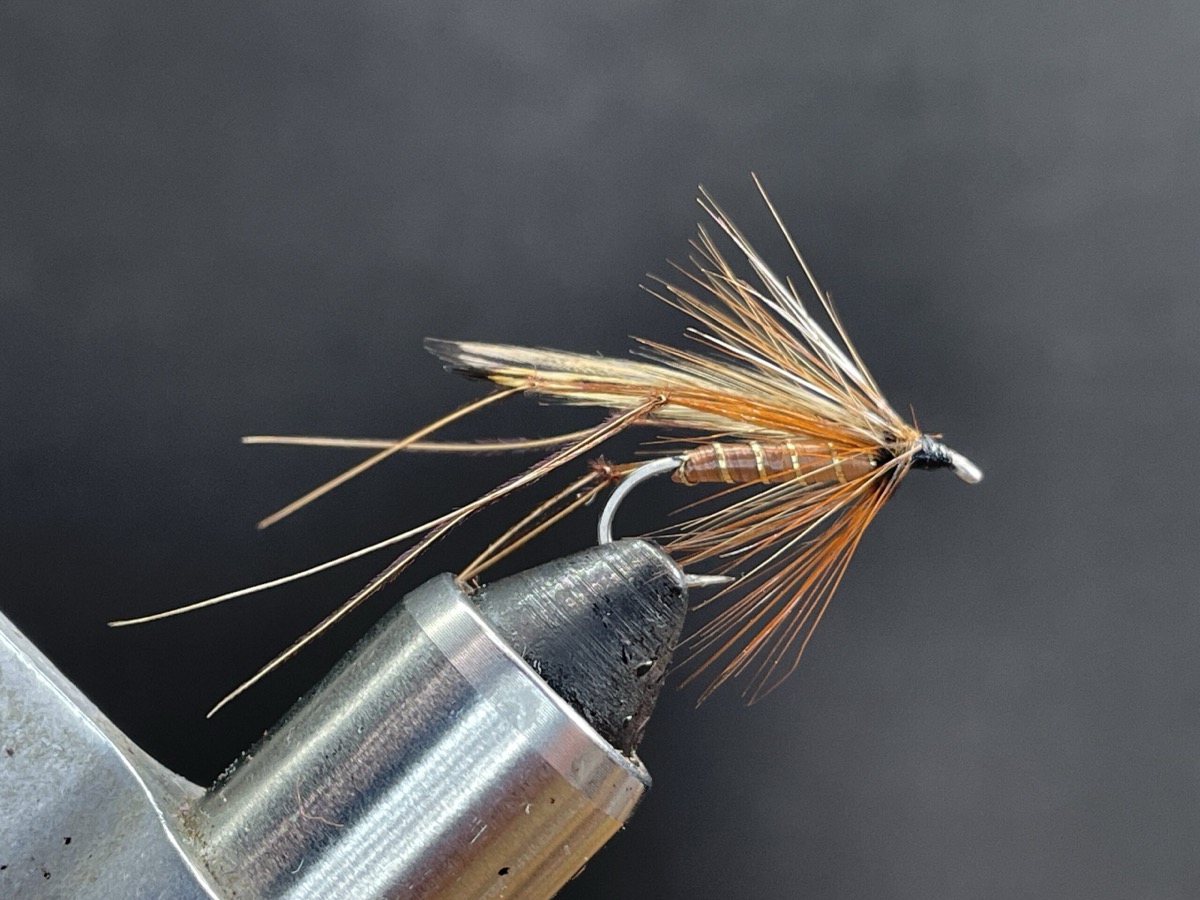 Cranefly ( Daddy Longlegs) wet fly fly pattern tied by Brent Jones