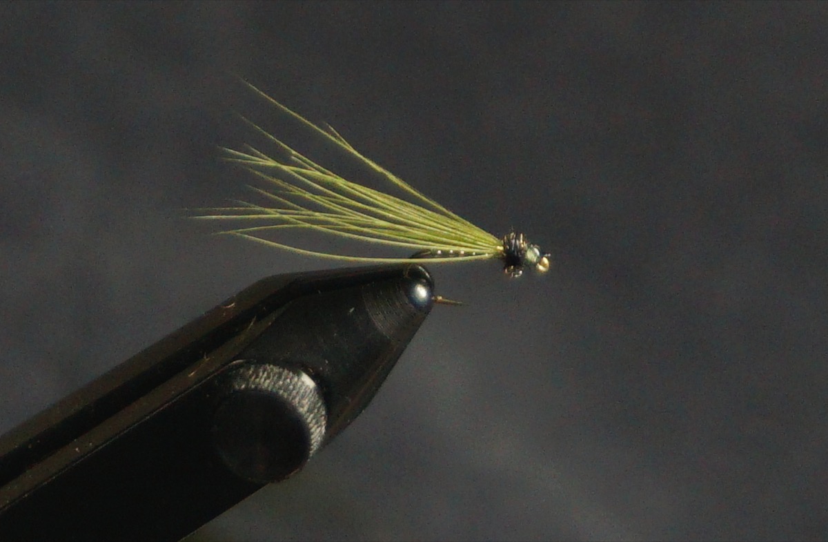 Wispy (Mike Kidd) fly pattern tied by Christian Andrews