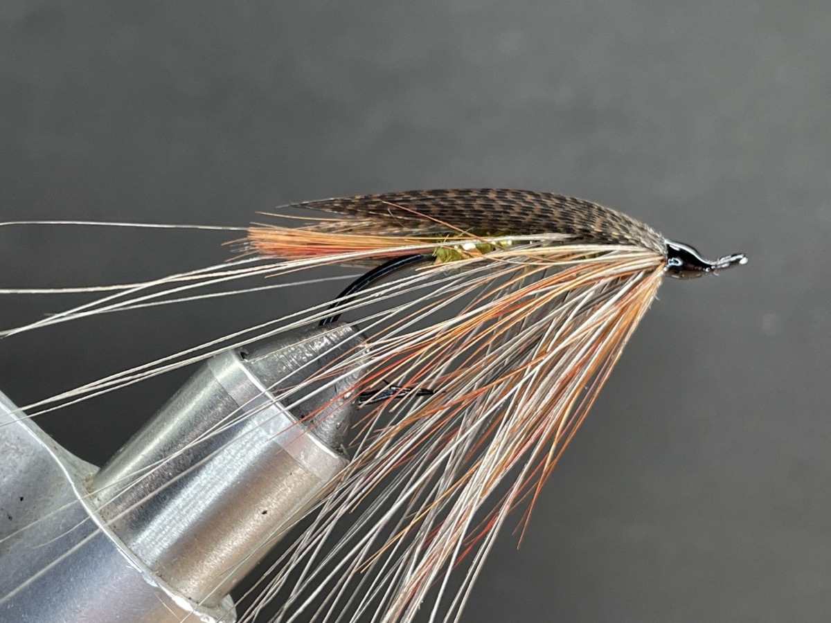 Lady Caroline fly pattern tied by Brent Jones
