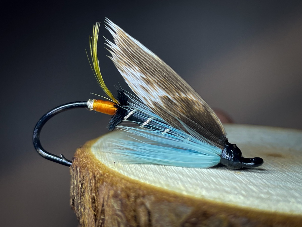 Blue charm fly pattern tied by Blake Glover