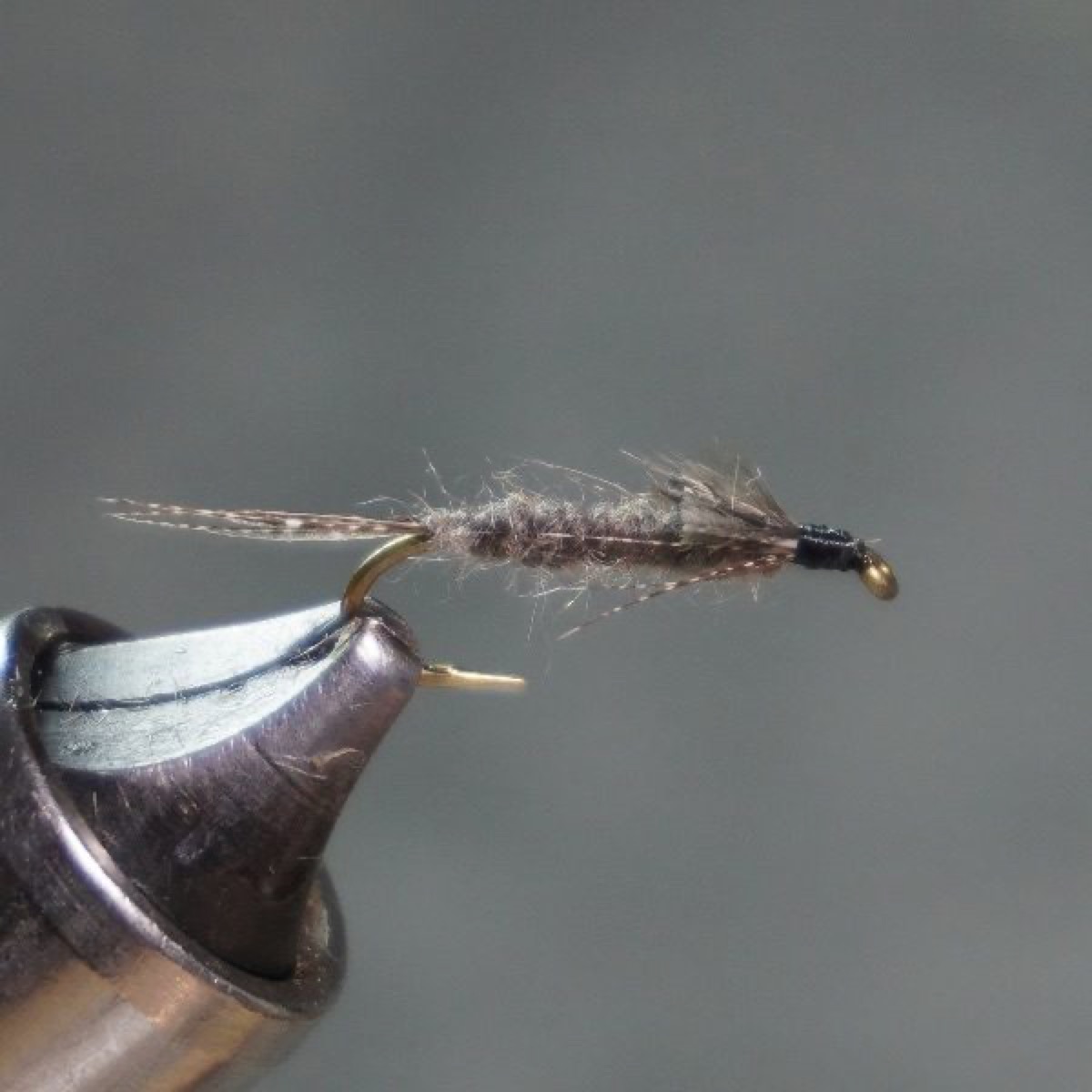 Black Drake Nymph fly pattern tied by Christian Andrews