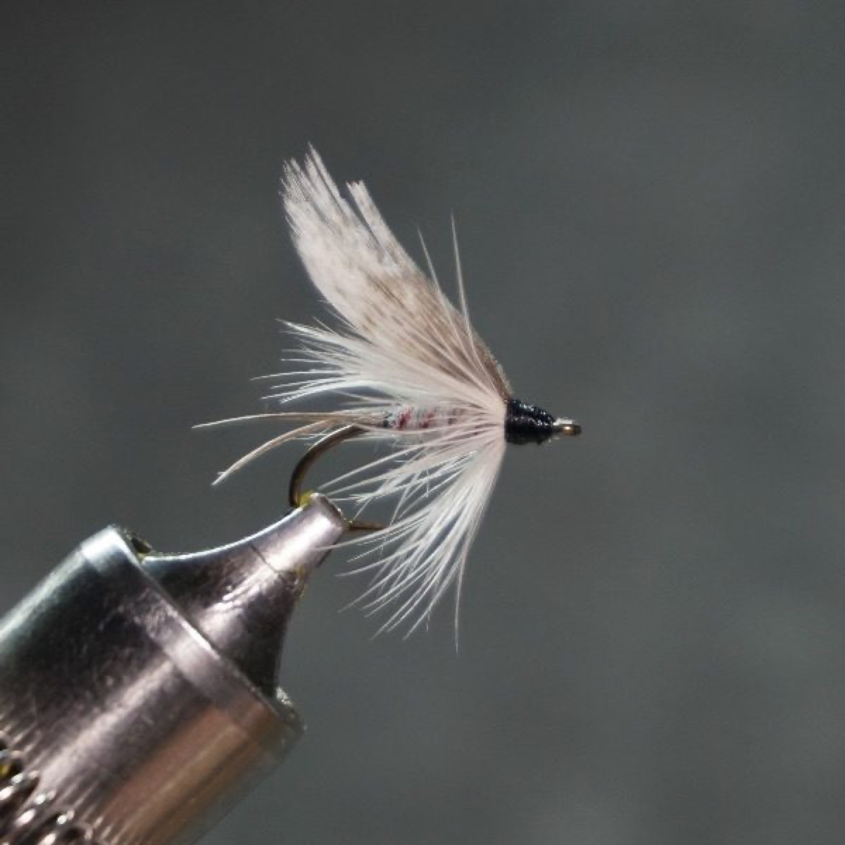 Camlet Dun fly pattern tied by Christian Andrews
