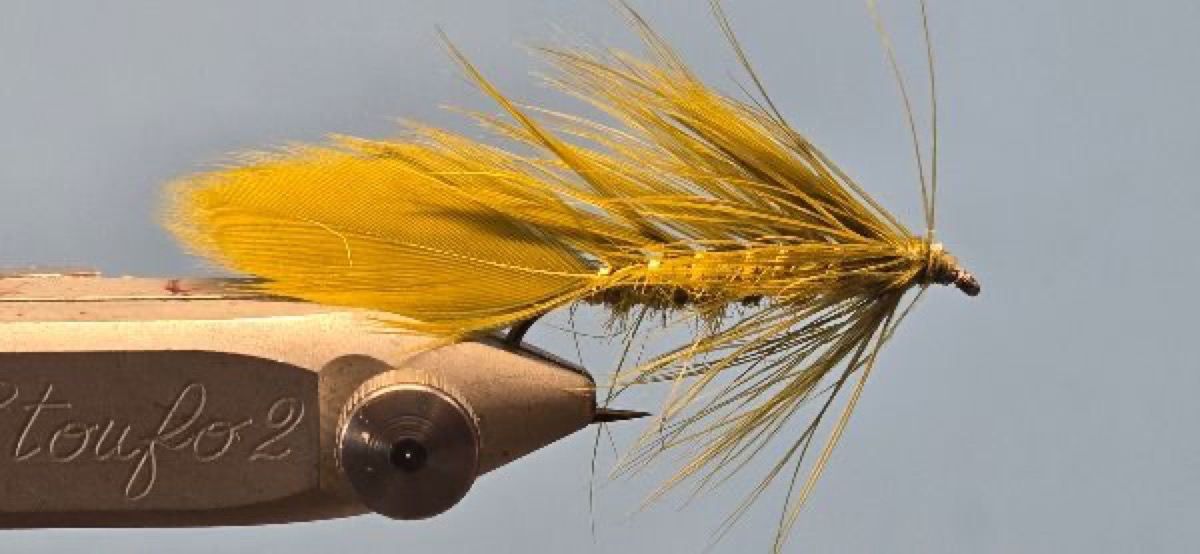 Olive Matuka Sculpin fly pattern tied by Darrell Olson