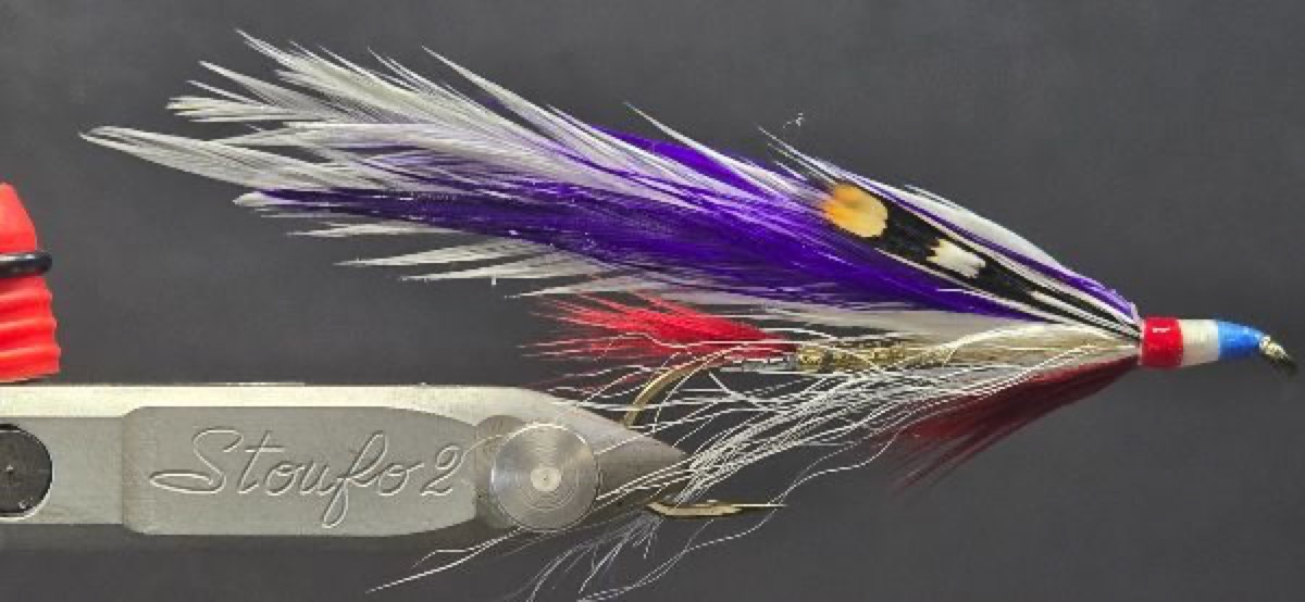 Casablanca fly pattern tied by Darrell Olson