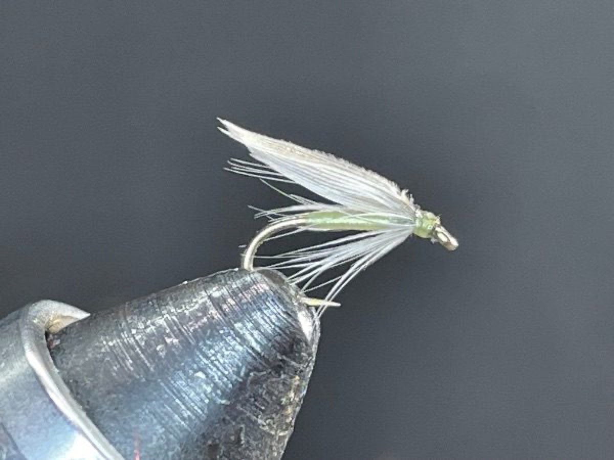 Light Snipe fly pattern tied by Brent Jones