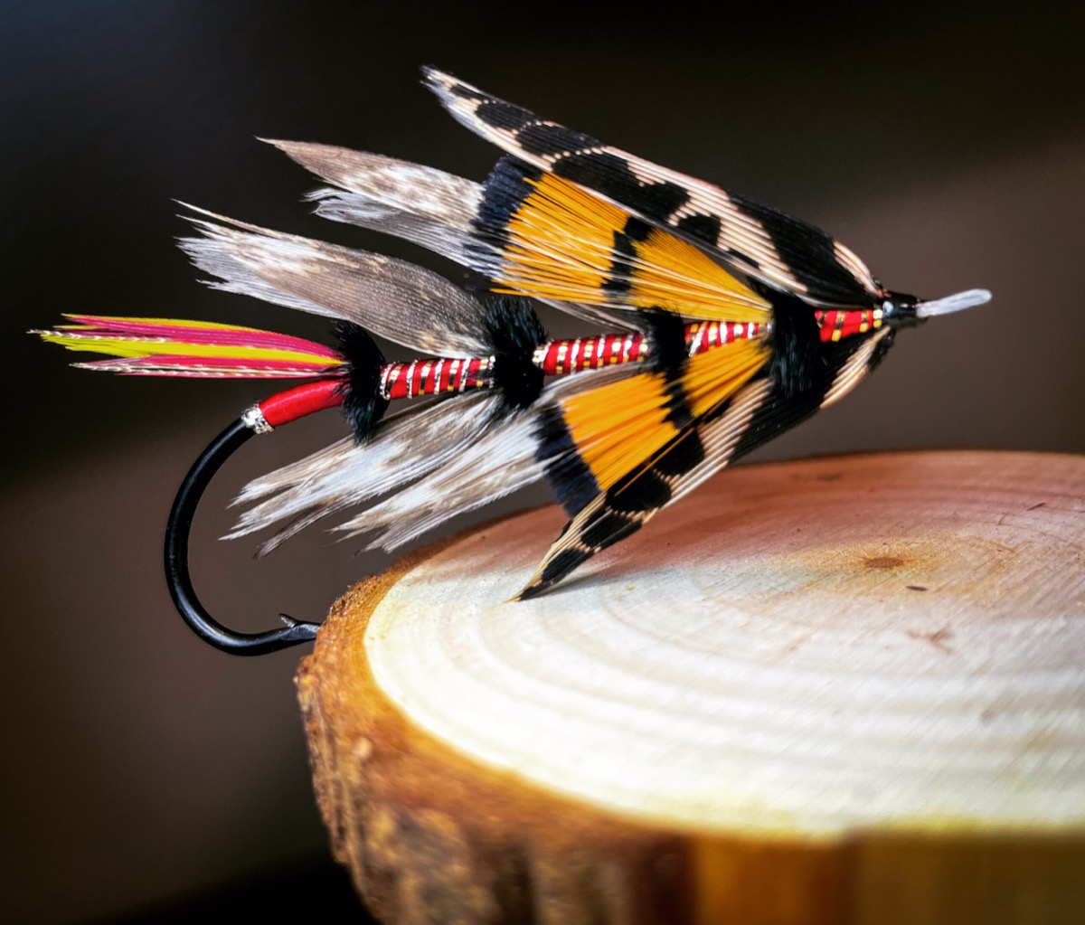 Road to recovery fly pattern tied by Blake Glover