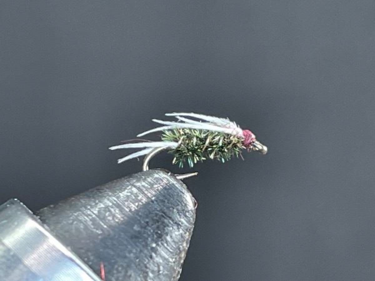 Legless Prince fly pattern tied by Brent Jones