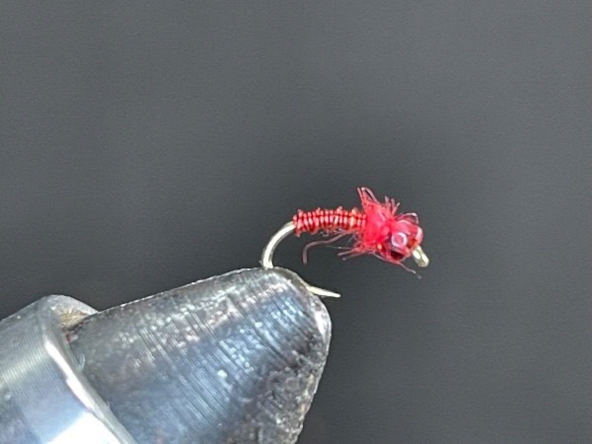 Glass Bead Blood Midge fly pattern tied by Brent Jones