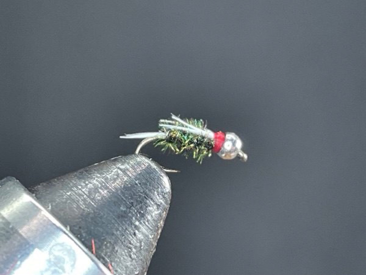 Bead HeadLegless Prince fly pattern tied by Brent Jones