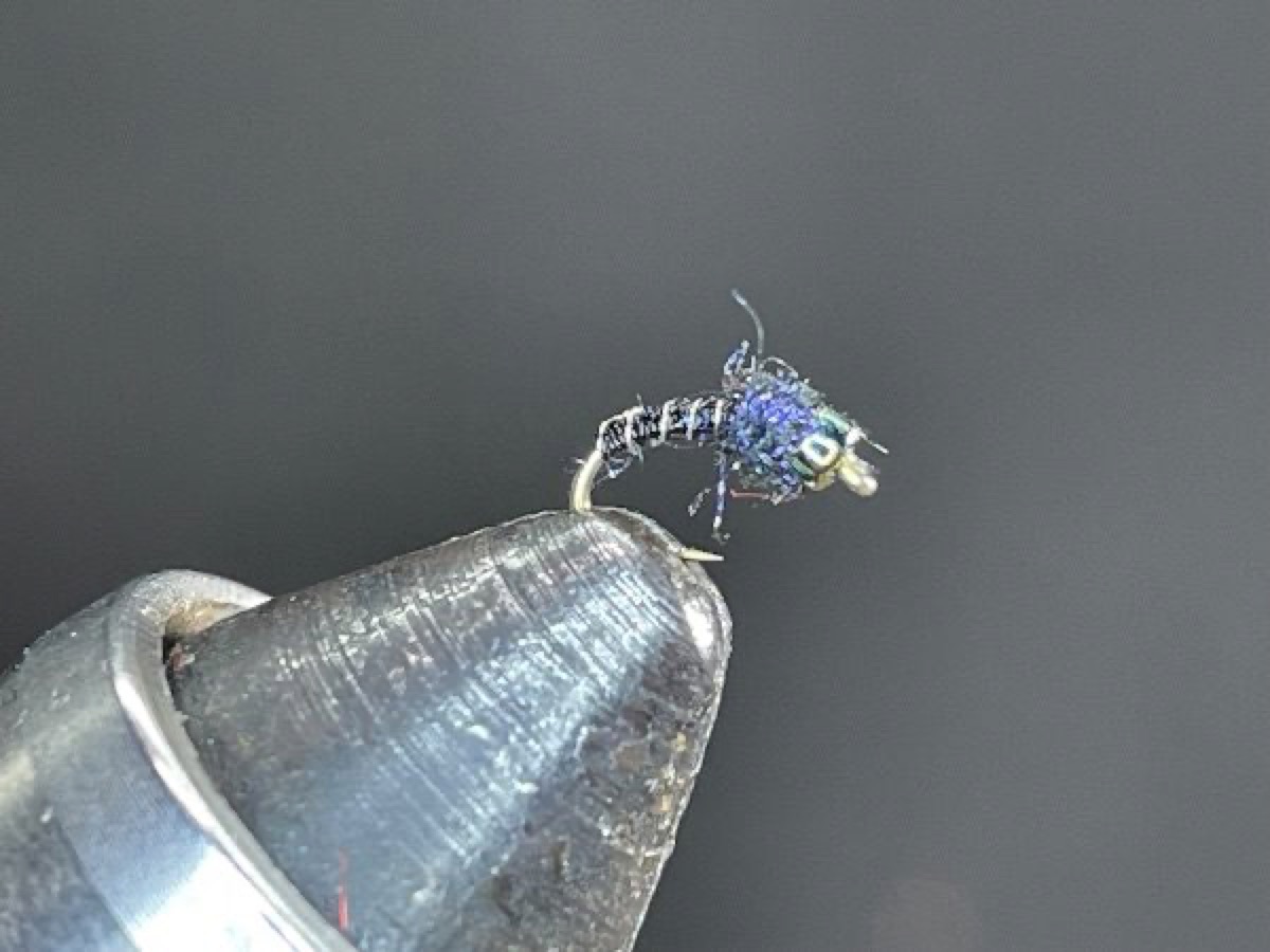 Wire Zebra Midge fly pattern tied by Brent Jones