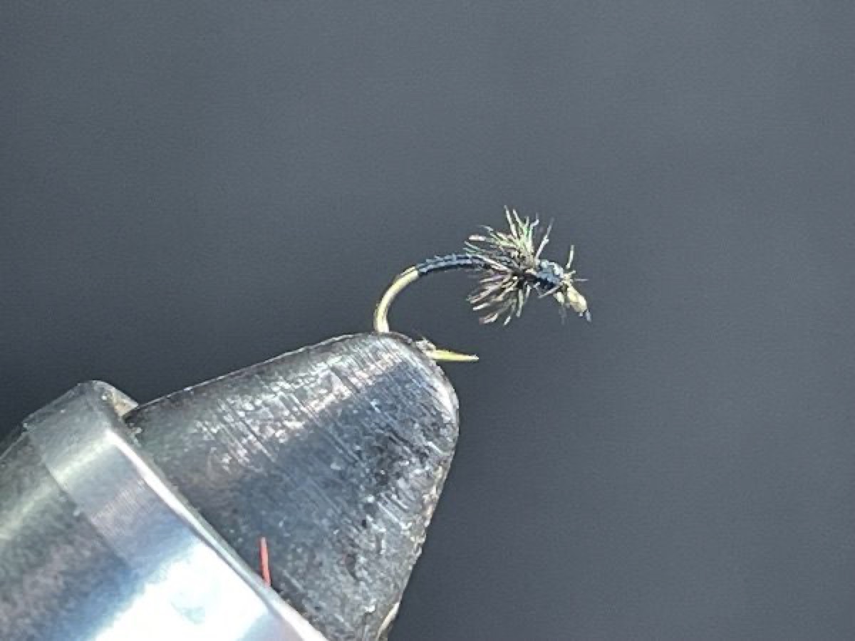 Black & Herl fly pattern tied by Brent Jones