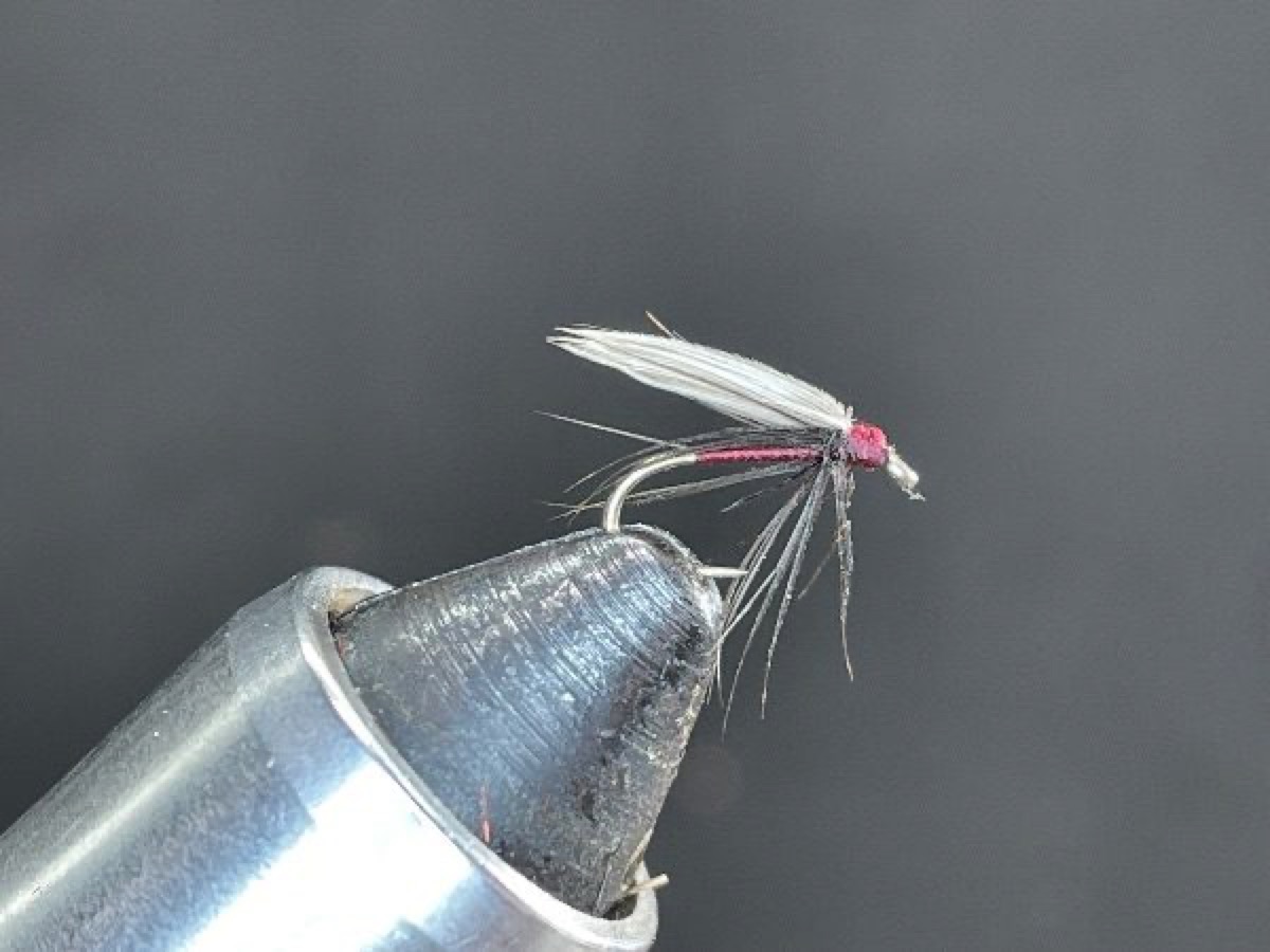 Broughton’s Point or Dark Bloa fly pattern tied by Brent Jones