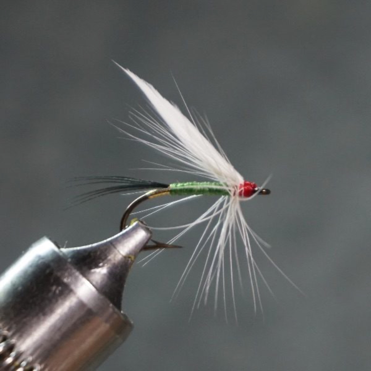Deer Fly fly pattern tied by Christian Andrews