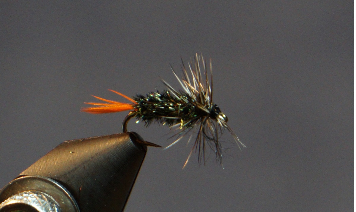 Gray Hackle Peacock fly pattern tied by Christian Andrews