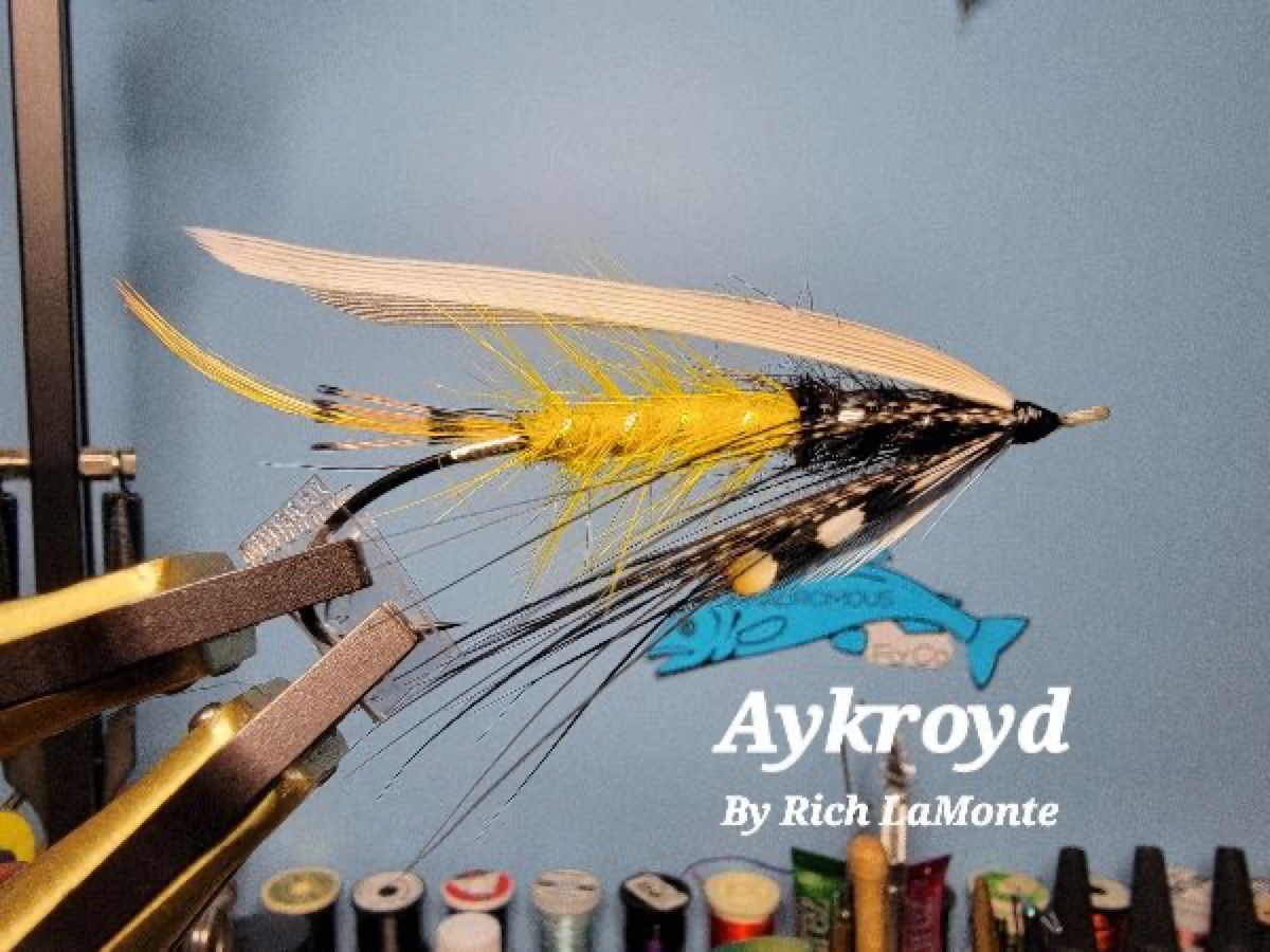 The Aykroid fly pattern tied by Rich LaMonte