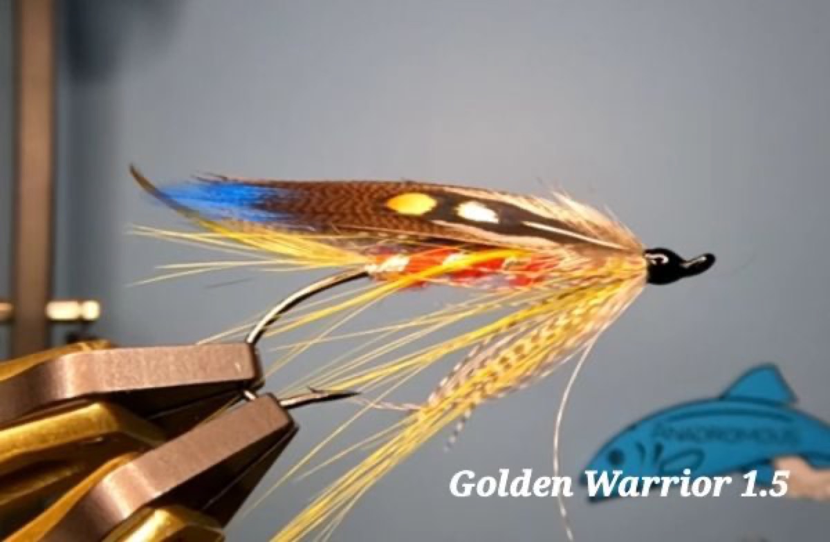 The Golden Warrier fly pattern tied by Rich LaMonte