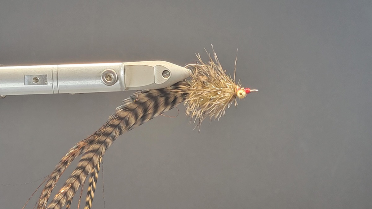 Gary Dubiel ’s Red-ducer fly pattern tied by Darrell Olson
