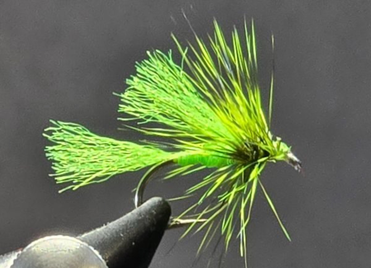 Little Green Stonefly fly pattern tied by Darrell Olson