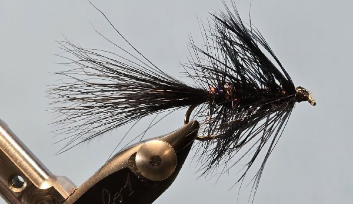 SEC FFI Woolly Bugger fly pattern tied by Darrell Olson