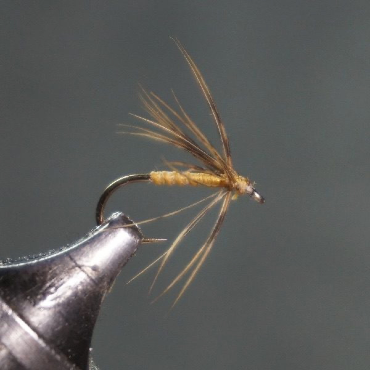 Greenwell Spider (variant) fly pattern tied by Christian Andrews