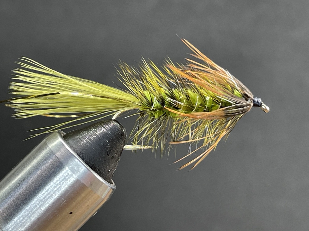 Olive Pheasant Bugger fly pattern tied by Brent Jones