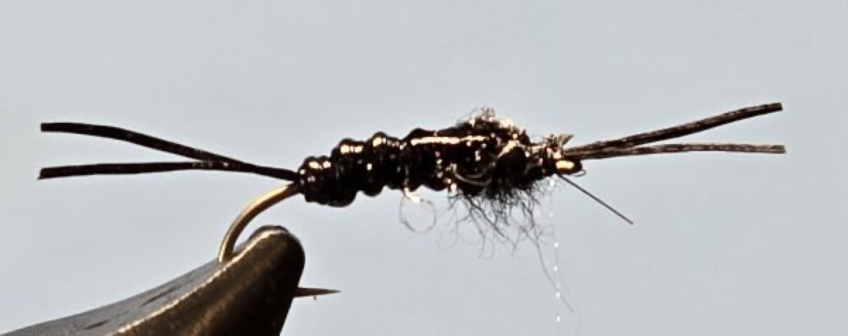 Winter Stonefly Nymph fly pattern tied by Darrell Olson