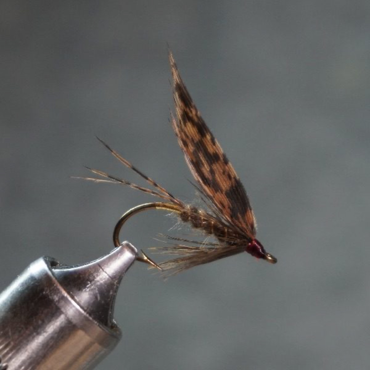 Dark Stone fly pattern tied by Christian Andrews