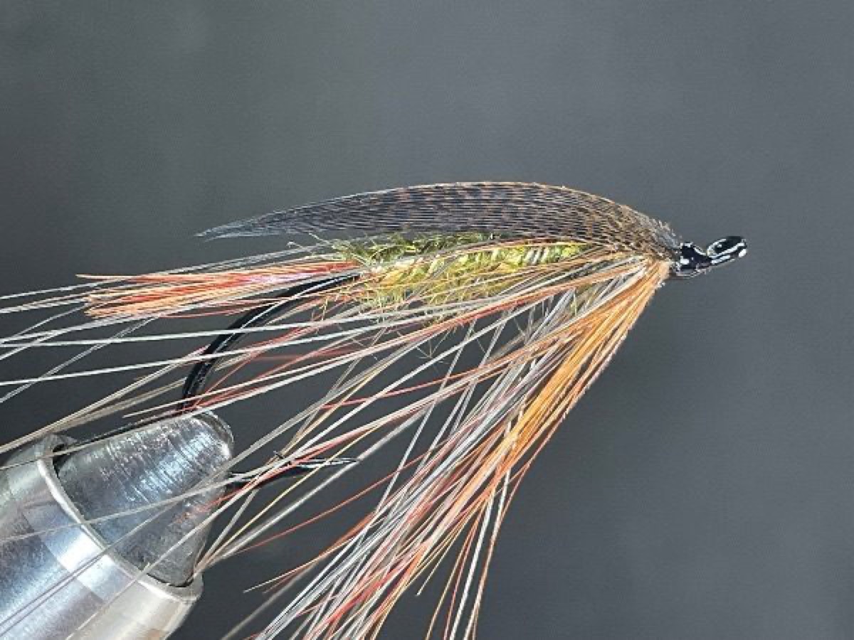 Lady Caroline fly pattern tied by Brent Jones