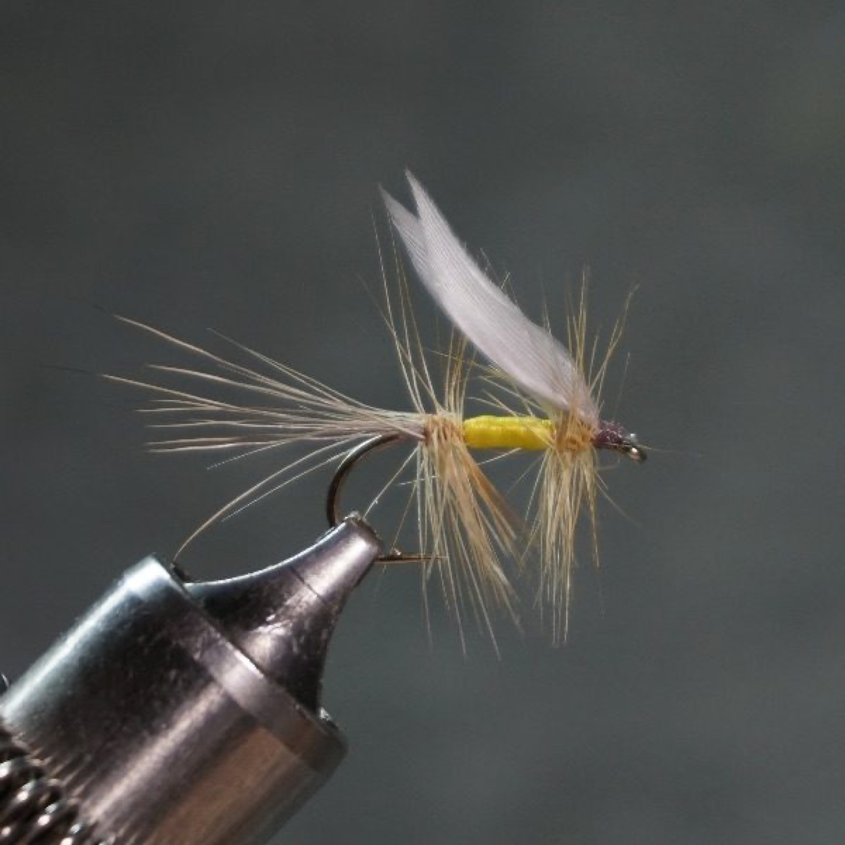 Michigan Caddis / Fore & Aft fly pattern tied by Christian Andrews
