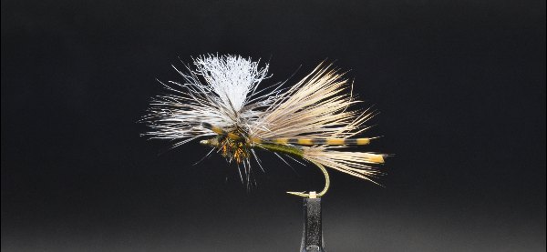 Parachute Madame X (PMX) fly pattern tied by Daniel Becker