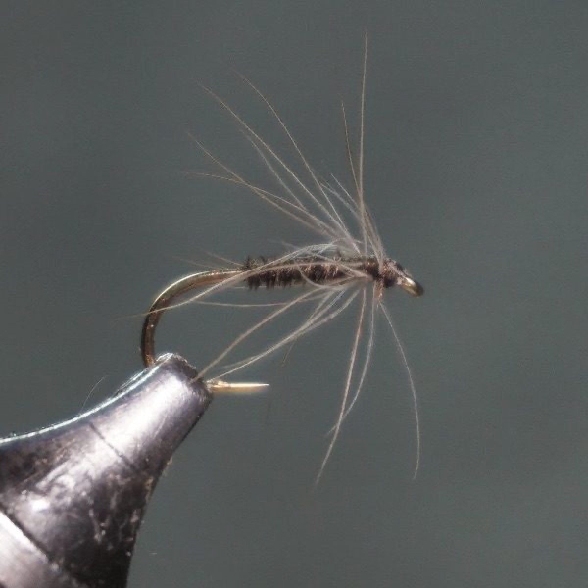 Pheasant Tail Spider fly pattern tied by Christian Andrews
