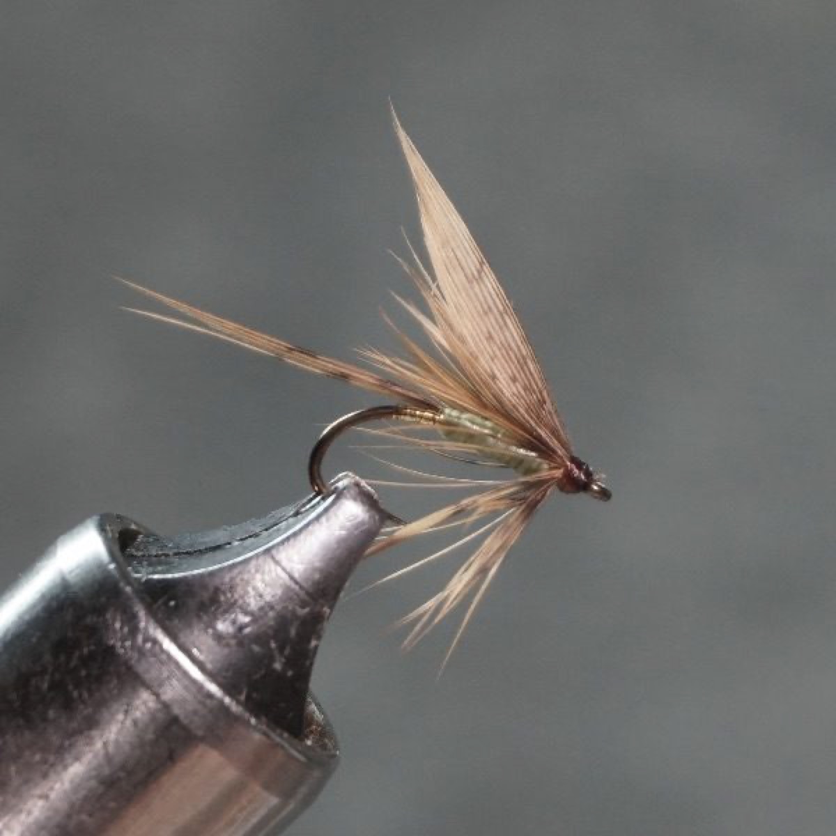 Dorset fly pattern tied by Christian Andrews