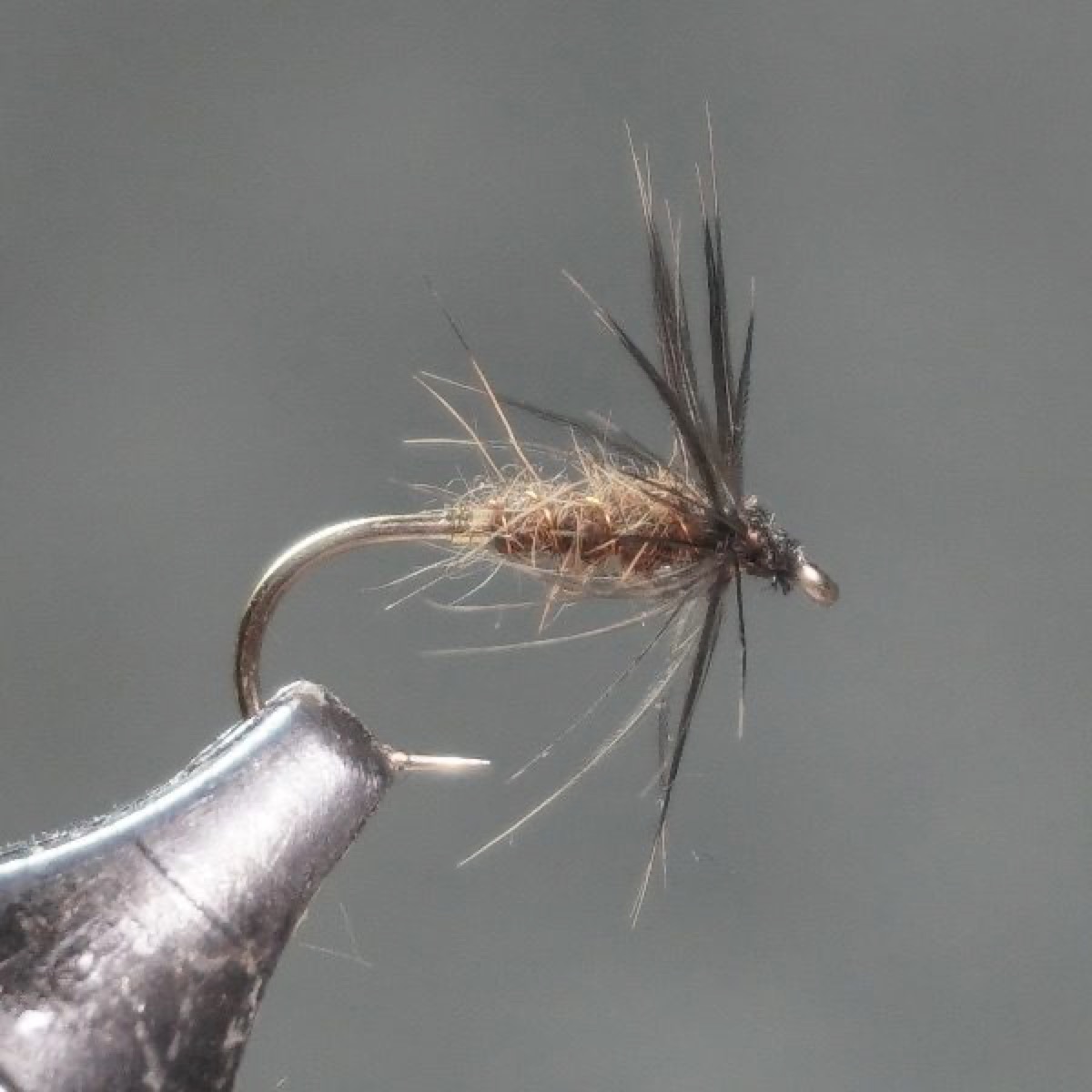 Hare’s Lug & Starling fly pattern tied by Christian Andrews