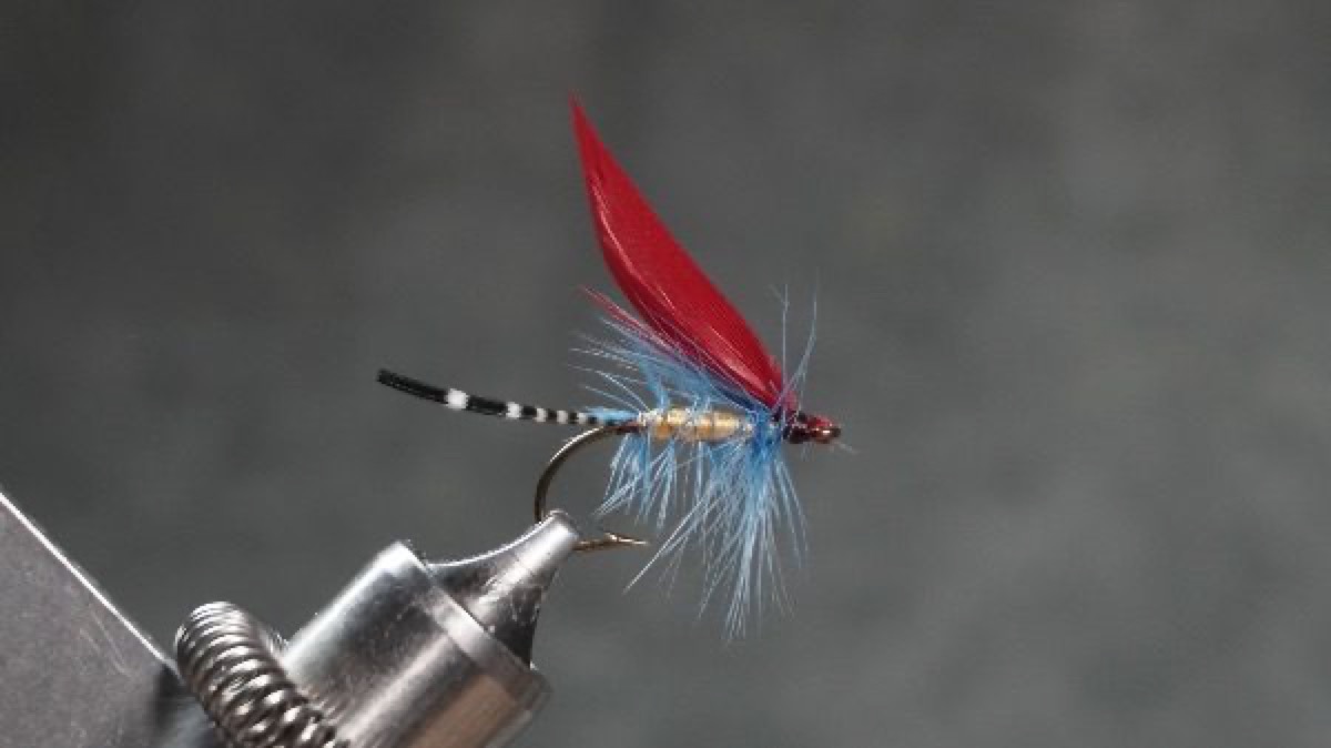 Allerton fly pattern tied by Christian Andrews