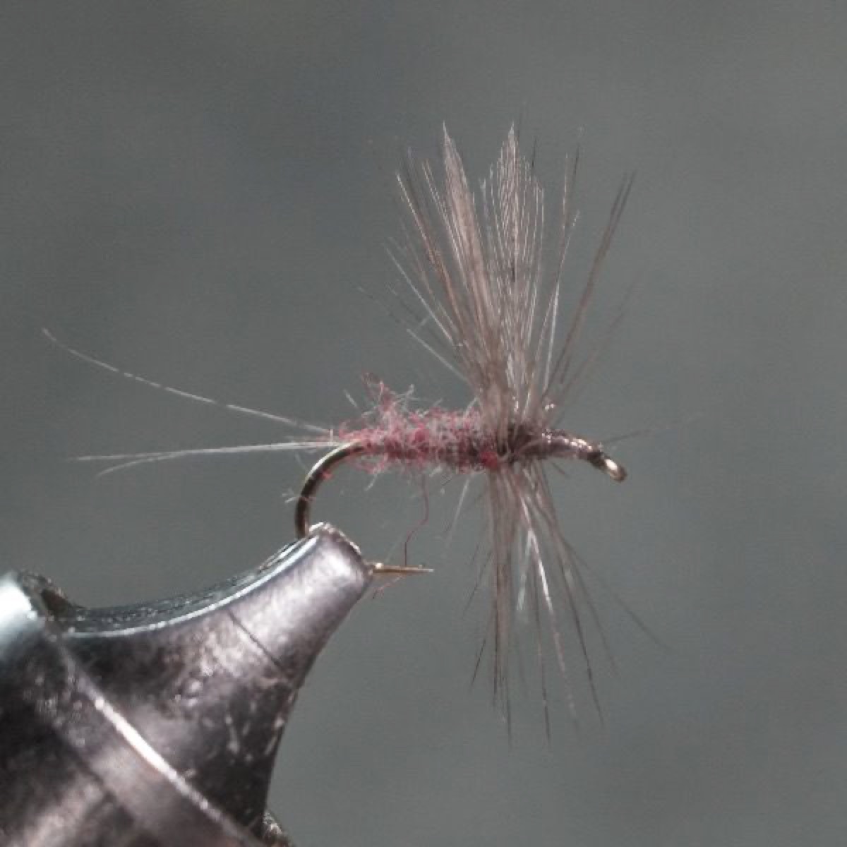Dark Coty fly pattern tied by Christian Andrews