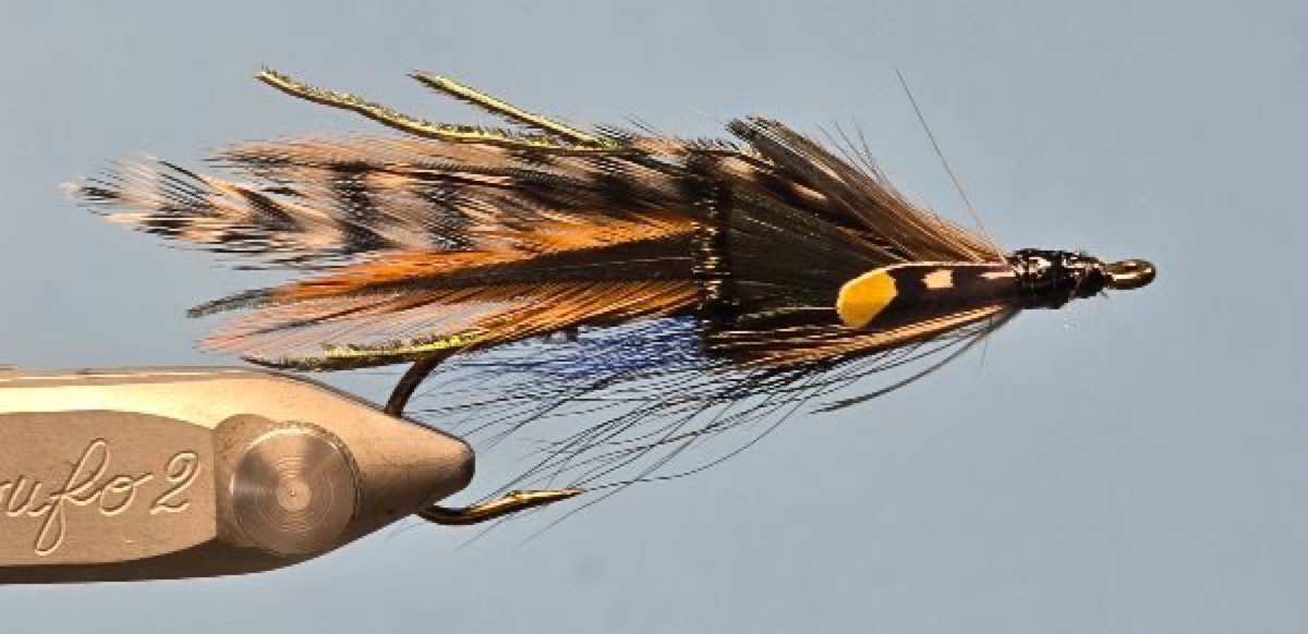 Cree Darter fly pattern tied by Darrell Olson