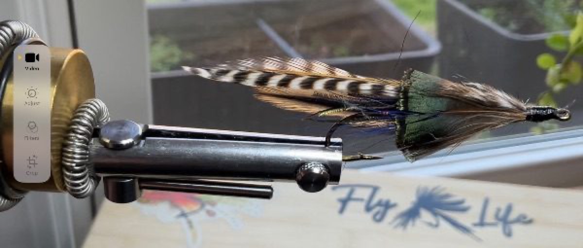 Cree Darter streamer fly pattern tied by David Fliesen