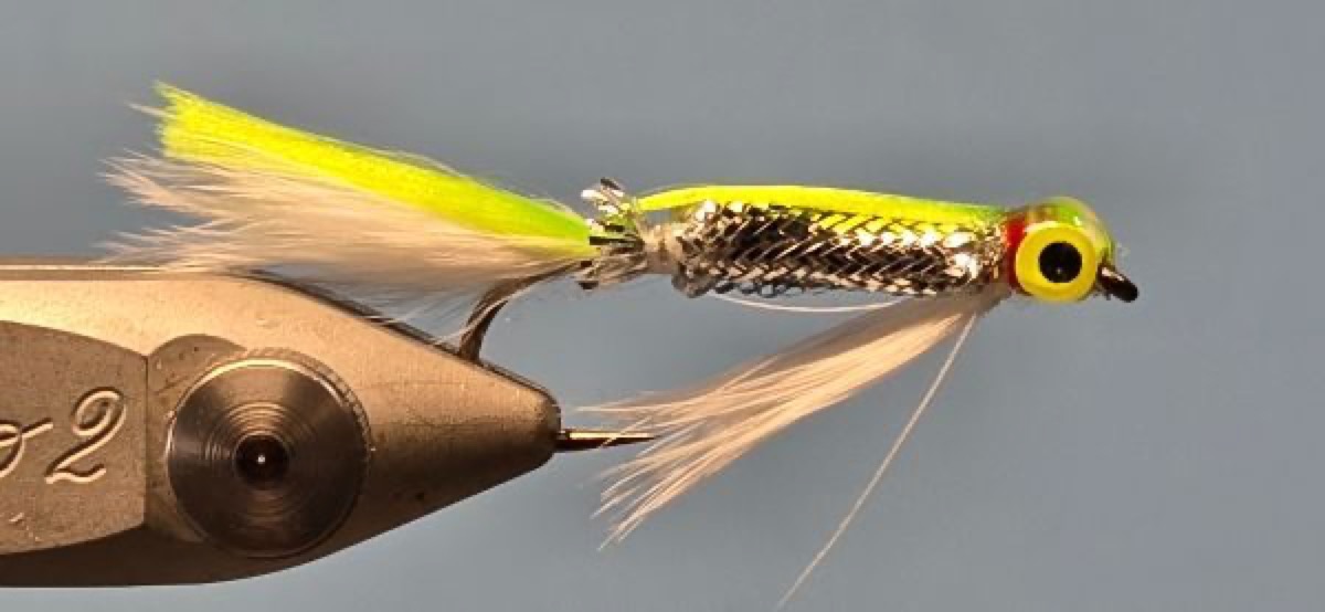 Henry Hoffman’s Ribbon Shad fly pattern tied by Darrell Olson