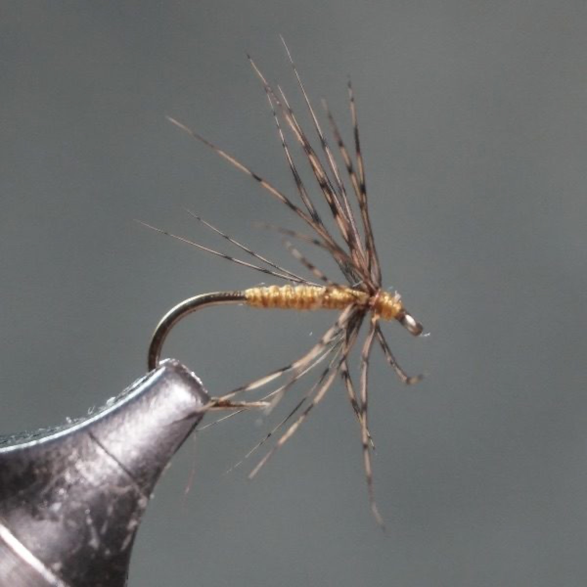 March Brown Spider fly pattern tied by Christian Andrews