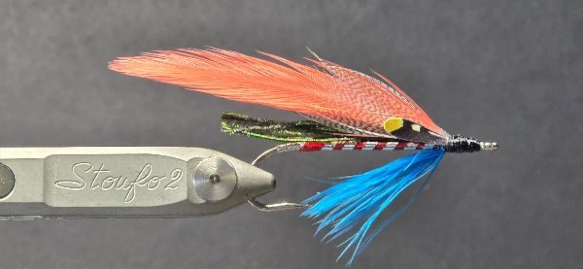 Carrie's Fancy fly pattern tied by Darrell Olson