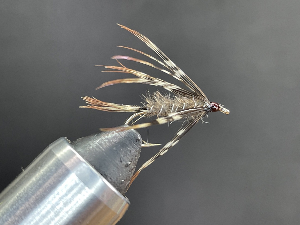 Carry Special March Brown Variant fly pattern tied by Brent Jones
