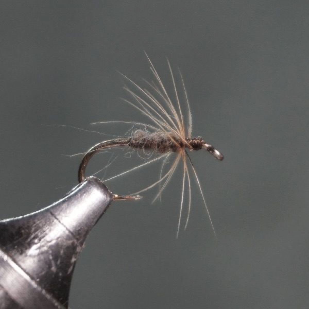 Grey Duster fly pattern tied by Christian Andrews
