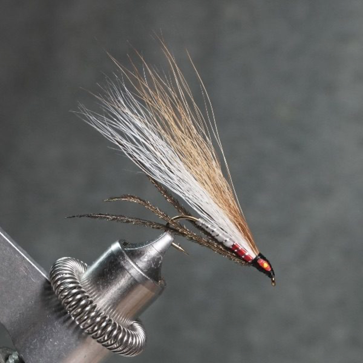 Bird’s Cutthroat Streamer fly pattern tied by Christian Andrews