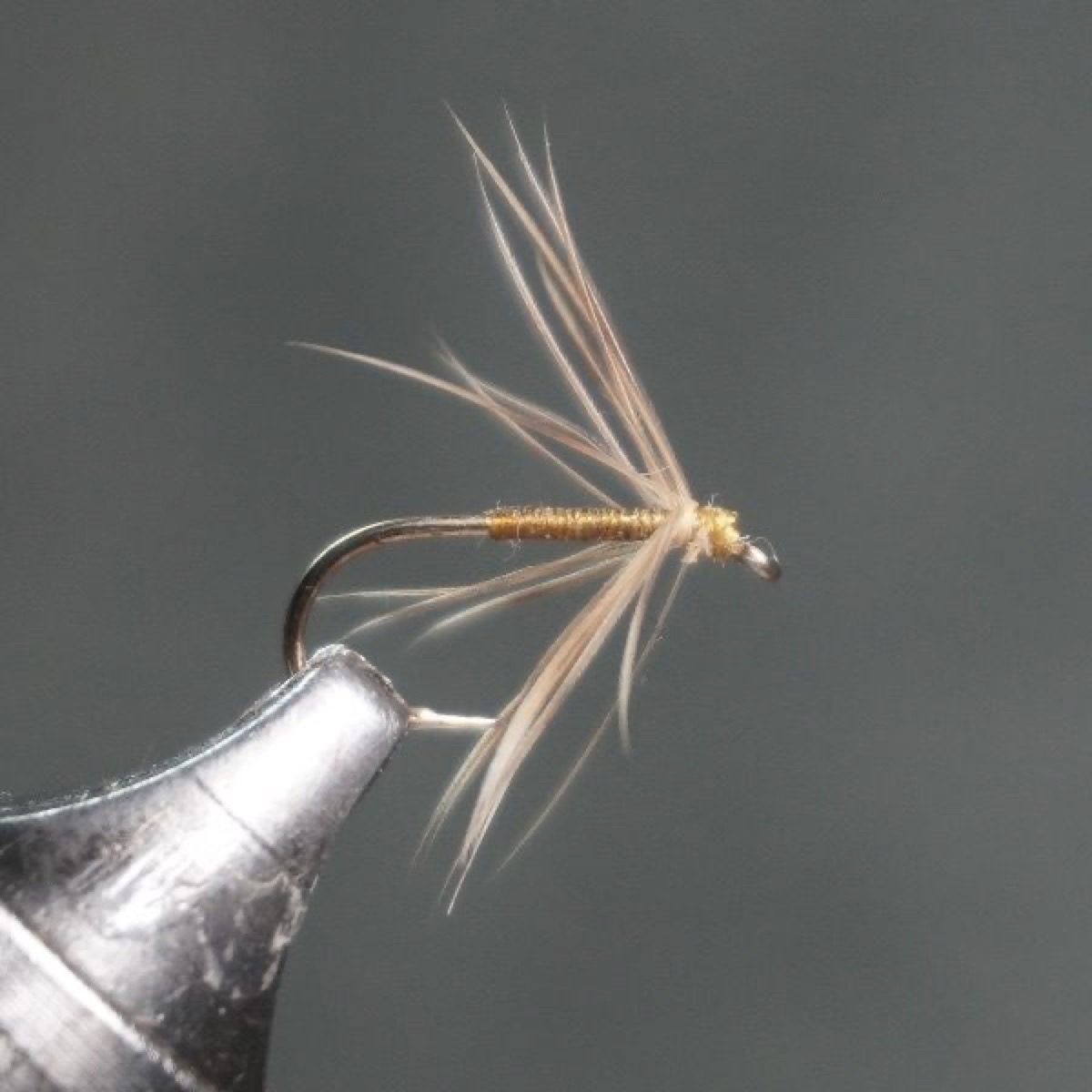 Yellow-legged Bloa Spider fly pattern tied by Christian Andrews