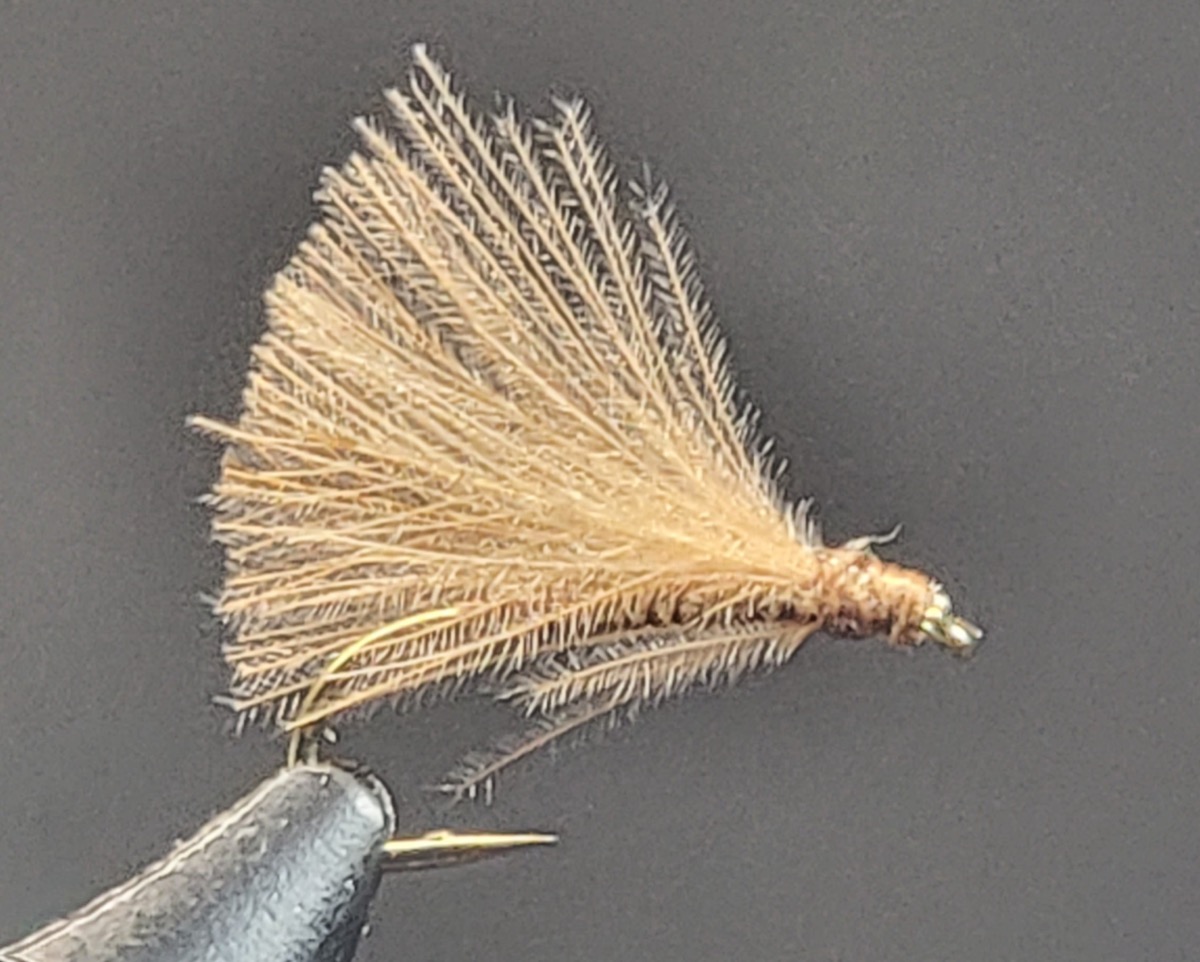 The F Fly fly pattern tied by Darrell Olson
